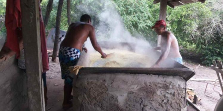 conflito-pela-terra-e-causa-de-um-terco-das-mortes-de-quilombolas