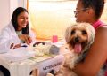 caes-e-gatos-recebem-atendimento-veterinario-gratuito-em-candeias