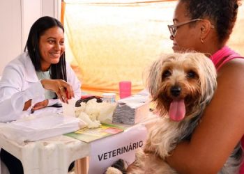 caes-e-gatos-recebem-atendimento-veterinario-gratuito-em-candeias 