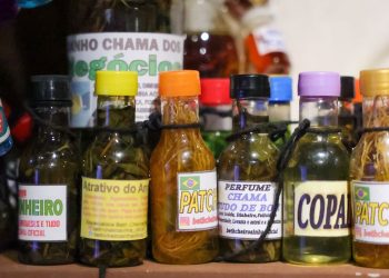 g20-aprova-declaracao-que-fixa-10-principios-sobre-bioeconomia