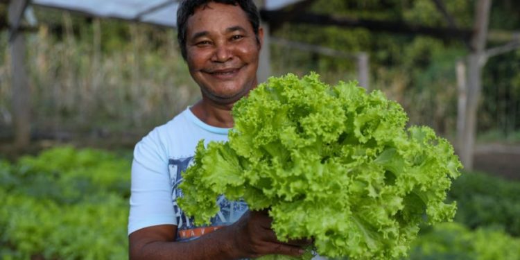 horta-comunitaria-em-camacan-gera-renda-e-abastece-programas-institucionais-de-alimentacao