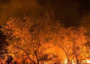 mpf-abriu-mais-de-190-investigacoes-sobre-queimadas-em-um-ano