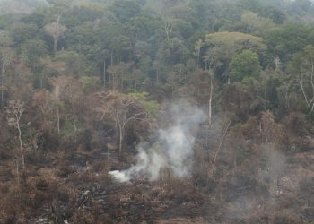 delegado-da-pf-diz-que-ha-indicios-de-acao-coordenada-em-incendios