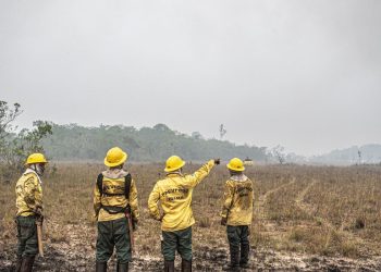 dino-estabelece-orcamento-de-emergencia-para-combate-a-incendios