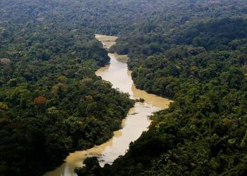 governo-entra-com-primeira-acao-por-danos-climaticos-contra-a-amazonia