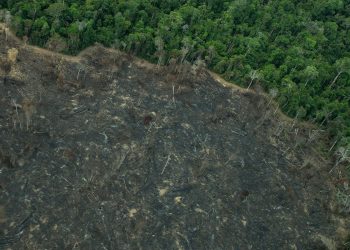 terra-indigena-karipuna-de-rondonia-tem-cenario-de-incendio-e-seca