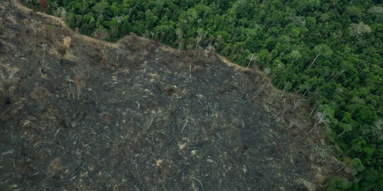 terra-indigena-karipuna-de-rondonia-tem-cenario-de-incendio-e-seca