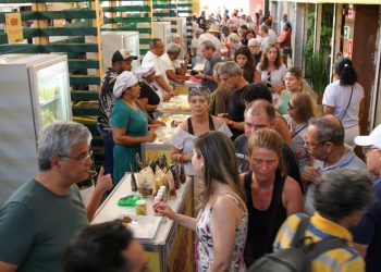 festival-do-queijo-artesanal-da-bahia-chega-ao-ultimo-dia-com-recorde-de-publico-e-vendas