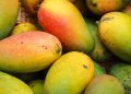 fruticultura-baiana-atinge-patamar-recorde-e-gera-r$-5,7-bilhoes-em-2023
