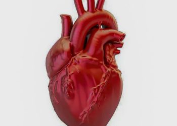 doencas-cardiovasculares-matam-400-mil-brasileiros-por-ano