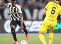 botafogo-busca-classificacao-inedita-para-final-da-libertadores