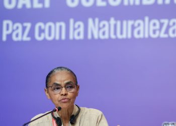 marina-silva-defende-indigena-detida-na-cop16-durante-protesto