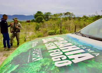 flagrante-de-incendio-florestal-em-erico-cardoso-intensifica-operacao-blitz-verde-na-chapada-diamantina