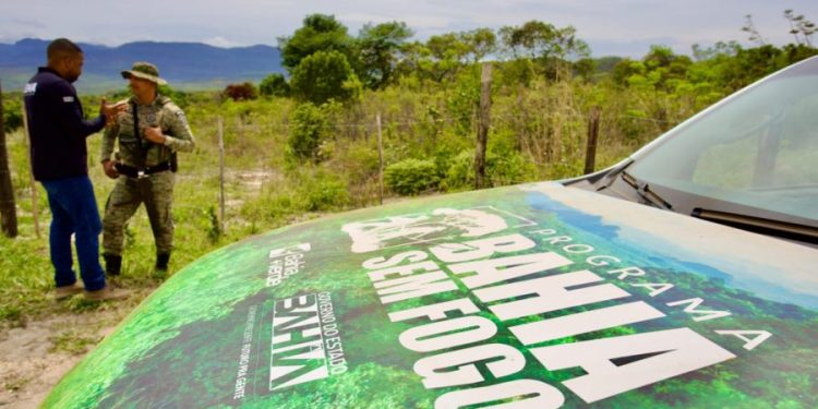 flagrante-de-incendio-florestal-em-erico-cardoso-intensifica-operacao-blitz-verde-na-chapada-diamantina