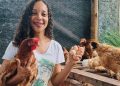 ovos-de-galinha-caipira-garantem-renda-e-seguranca-alimentar-para-mulheres-no-reconcavo-baiano