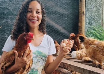ovos-de-galinha-caipira-garantem-renda-e-seguranca-alimentar-para-mulheres-no-reconcavo-baiano