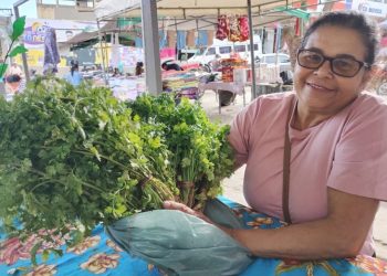 mulheres-agricultoras-de-presidente-tancredo-neves-ampliam-renda-com-venda-para-paa-e-pnae