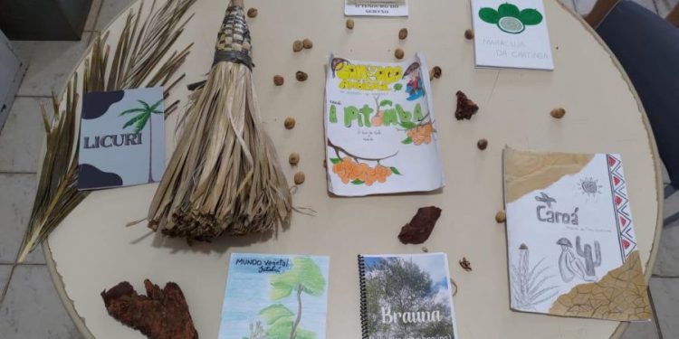 tres-colegios-estaduais-da-bahia-sao-destaques-na-12a-olimpiada-brasileira-de-saude-e-meio-ambiente