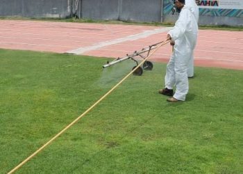 com-uso-de-tecnicas-inovadoras-e-descanso,-gramado-do-estadio-de-pituacu-retorna-as-atividades-dia-17-de-novembro