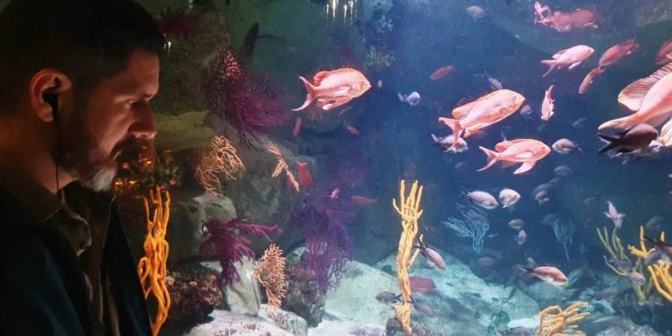 parque-zoobotanico-de-salvador-pode-ganhar-o-primeiro-aquario-imersivo-da-bahia