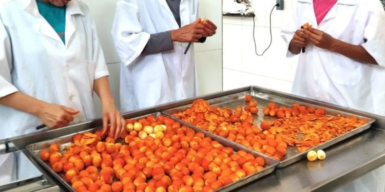 com-apoio-da-car,-agricultores-que-trabalham-com-o-buriti-fortalecem-producao-e-desenvolvem-novos-produtos