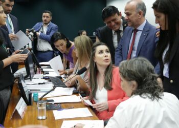 ccj-da-camara-adia-votacao-de-pec-que-proibe-o-aborto-legal
