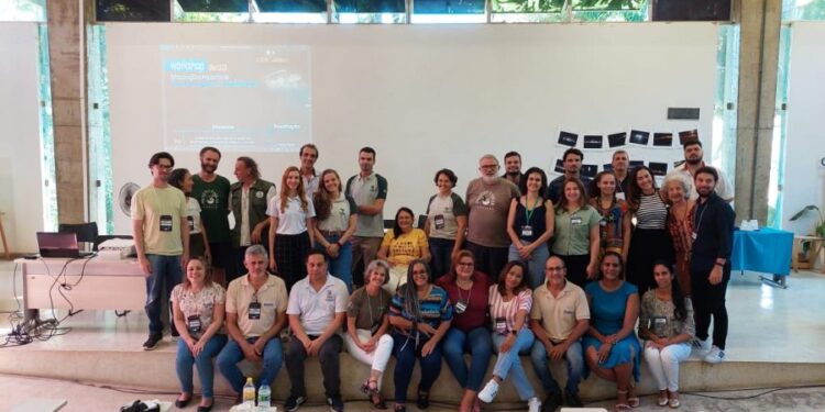 inema-participa-de-workshop-sobre-tartarugas-marinhas