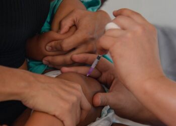 numero-de-casos-notificados-de-coqueluche-cresce-em-2024