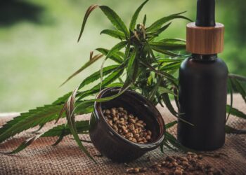 segunda-edicao-da-expocannabis-apresenta-novos-usos-da-planta