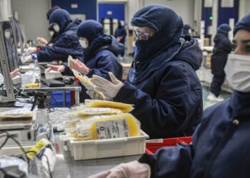 coleta-de-plasma-bate-recorde-em-dez-meses-de-2024,-diz-hemobras