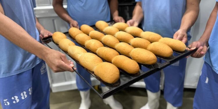 seap-produz-paes-para-pessoas-em-situacao-de-vulnerabilidade-social