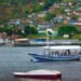 mostra-rotas-do-reconcavo-promove-arte-acessivel-gratuita-no-mac-bahia