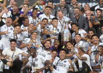 retrospectiva:-2024,-o-ano-do-botafogo