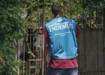 sp-tem-recorde-de-2,1-milhoes-de-casos-confirmados-de-dengue-em-2024