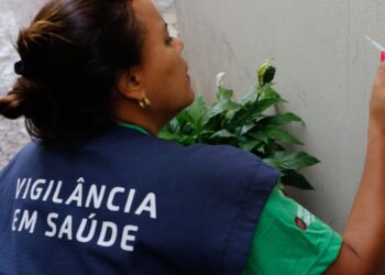 casos-de-dengue-em-2024-passam-de-6,4-milhoes;-mortes-somam-5,9-mil