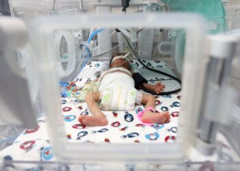 taxa-de-nascimentos-prematuros-do-brasil-esta-acima-da-media-global