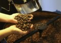 cafe-robusta-volta-a-ter-alta-e-saca-custa-r$-1.875,46