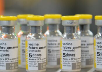 sao-paulo-confirma-primeiro-caso-de-febre-amarela-em-humano-em-2025