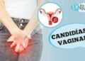 candidiase-vaginal:-o-que-e,-sintomas,-diagnostico,-tratamento-e-prevencao