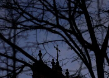 grupo-vita-da-igreja-catolica-divulga-relatorio-sobre-abusos-sexuais