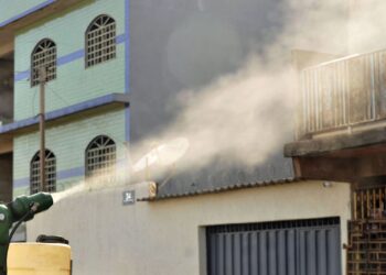 vacina-contra-chikungunya-mantem-anticorpos-apos-1-ano-de-aplicacao