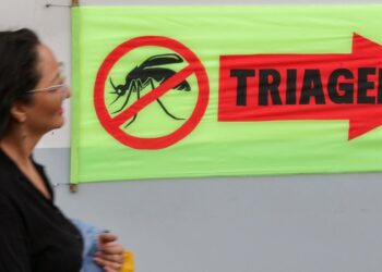 entenda-o-que-sao-sorotipos-da-dengue-e-por-que-o-tipo-3-preocupa