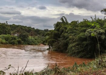 estudo-detecta-presenca-de-metais-na-urina-de-criancas-em-brumadinho
