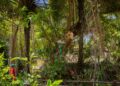 prefeitura-realiza-mutirao-de-limpeza-no-parque-ecologico-lauro-de-freitas