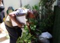 dengue:-maior-preocupacao-do-governo-e-com-a-regiao-sudeste