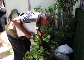 dengue:-maior-preocupacao-do-governo-e-com-a-regiao-sudeste