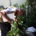 dengue:-maior-preocupacao-do-governo-e-com-a-regiao-sudeste