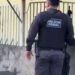Falso policial penal é preso com cinco veículos roubados em Salvador
