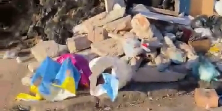 Morador encontra cabeça humana jogada no lixão em Salvador