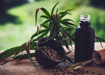 sao-paulo-veta-pl-que-amplia-acesso-a-itens-de-cannabis-medicinal